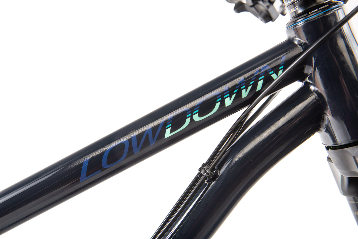 Lowdown Showroom Sale